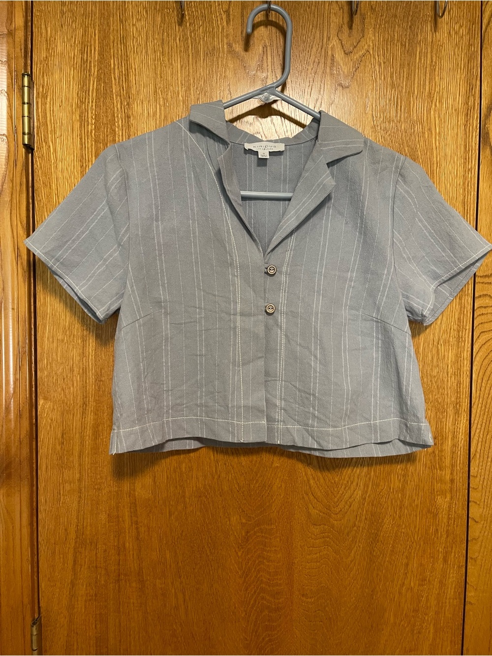 iris Slate Blue Pinstripe Cropped Button-Front Shirt